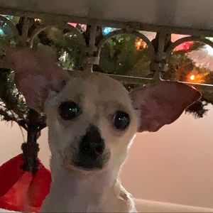 Meet your Posher, Savannah